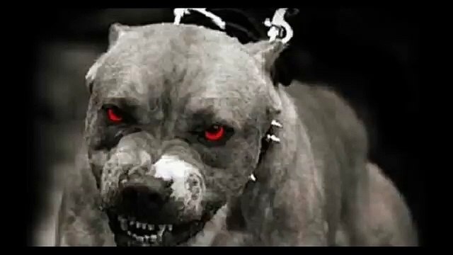 2Pac ft. Tech N9ne, Freddie Gibbs & Young Buck - Remix Slayers (Remix by DJ Mimo)