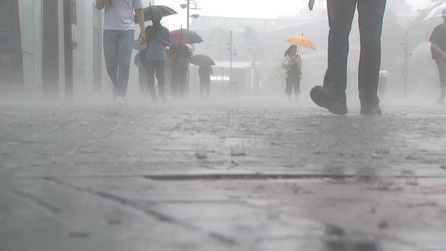 [날씨] 폭우 쏟아진 중랑천, 중북부 호우 계속...밤부터 시간당 70mm ↑ / YTN