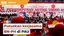 Bincang polemik kerjasama Umno-PH di PAU, kata penganalisis