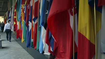 El FMI sitúa en el 2,4% el crecimiento de España para 2024 y en el 2,1% el de 2025