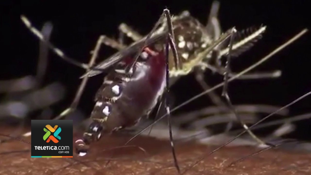 tn7-Casos de dengue no paran: país ya registra 15 mil casos este año-160724