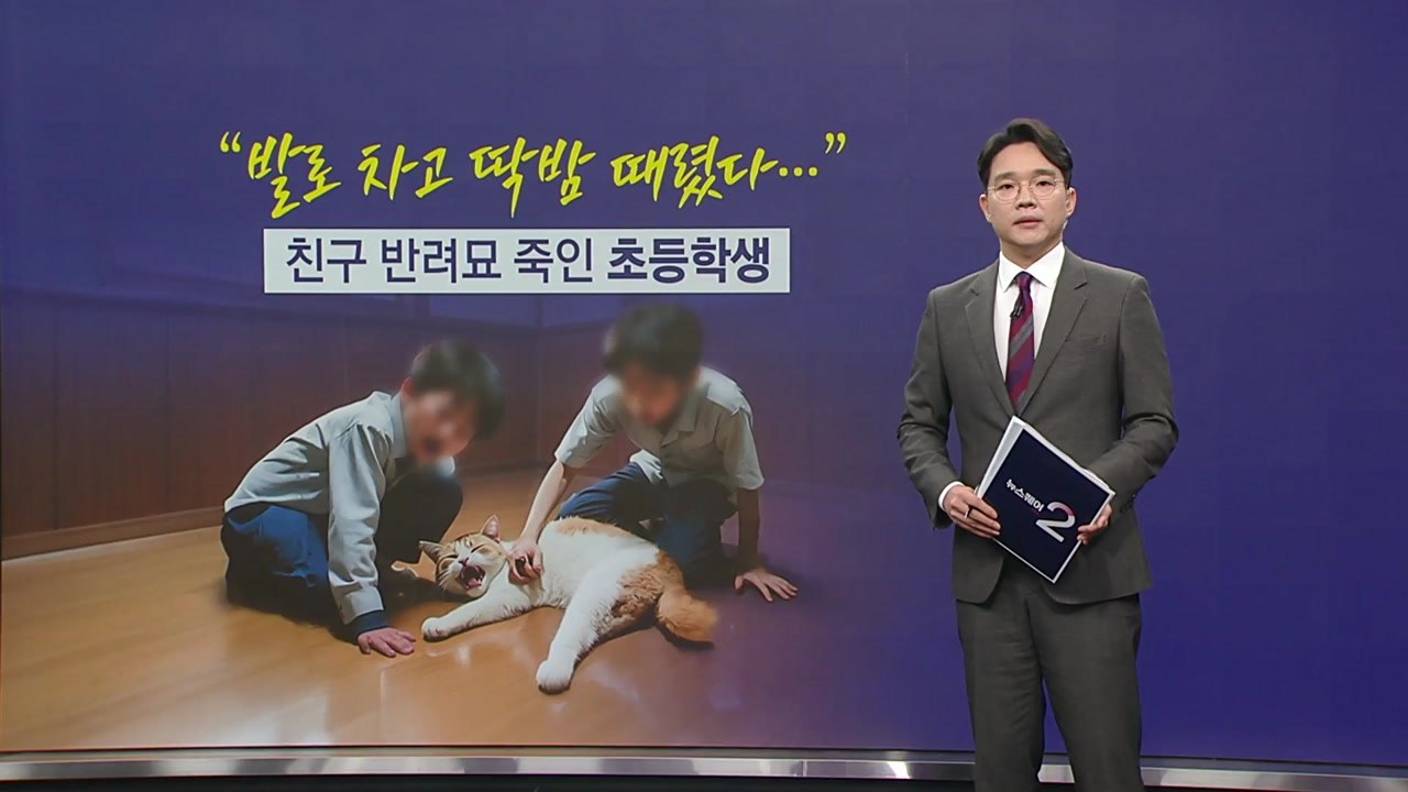 "발로 차고 '딱밤' 때리고..." 친구 반려묘 죽인 초등학생 [앵커리포트] / YTN