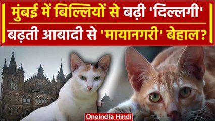Maharashtra : Mumbai में बिल्लियों से बढ़ती आबादी बना सवाल | Mumbai Cat News | वनइंडिया हिंदी