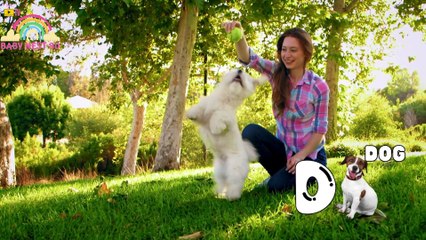 Beautiful Dog Poem for Kids  Fun Animal Poetry  Learning About Dogs