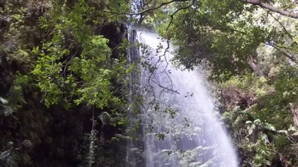 Âm nhạc thư giãn trị liệu với cảnh đẹp nhân gian - Tiếng vọng nơi đại ngàn