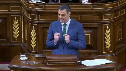 Sánchez presenta su plan de acción democrática