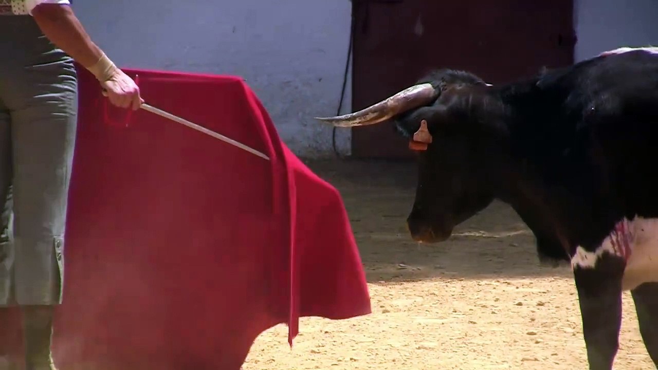 ALFONSO ALONSO GANADERIA BENITEZ CUBERO