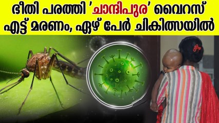 ഗുജറാത്തിൽ ഭീതി പരത്തി ചാന്ദിപുര വൈറസ്; 2004ല്‍ 322 ജീവനുകള്‍ കവര്‍ന്ന വില്ലന്‍
