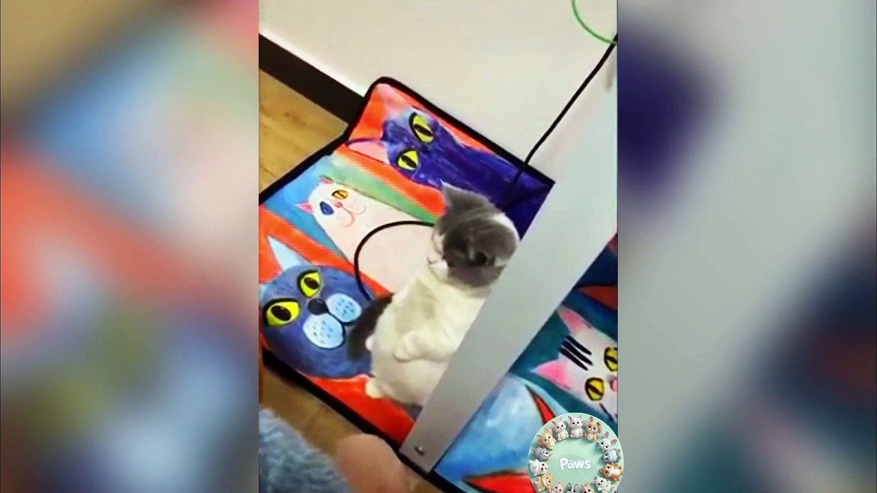 Animals you'll love  and make you LAUGH all day  Funny animals #4
