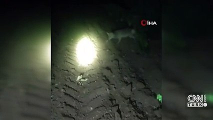 Tilki ile yılanın yaşam savaşı kamerada