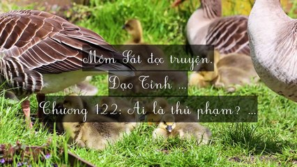 Mới 2024 Chương 121-125: Đạo Tình