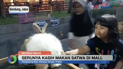 Melihat Beragam Satwa Jinak di Pusat Perbelanjaan Kota Bandung