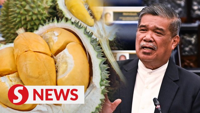 Govt to study aid, transition methods for high-value durians, Dewan Rakyat told
