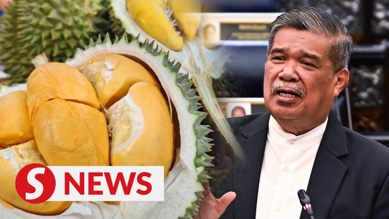 Govt to study aid, transition methods for high-value durians, Dewan Rakyat told