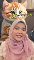 Makanan Yang Dilarang Beri Kepada Kucing