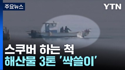 스쿠버 하는 척...1주일 만에 해산물 3톤 '싹쓸이' / YTN
