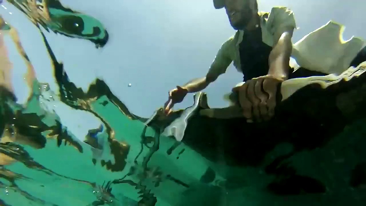 Sharktopus vs. Whalewolf - Trailer zum Clash der Mutanten