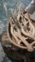 Chinese bamboo shoots