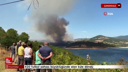 Çanakkale'de Bayramiç’te orman yangını