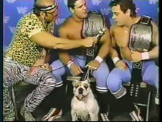 WWF Superstars 10-11-1986