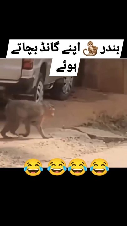 پاکستان کی حالت پاکستان کی حالت ایسے ہو گئی ہے