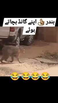 پاکستان کی حالت پاکستان کی حالت ایسے ہو گئی ہے