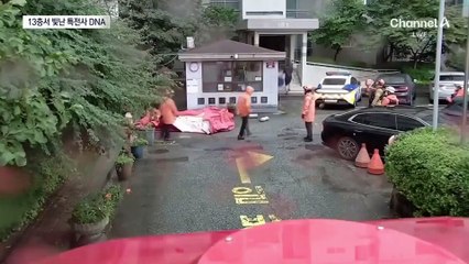 14층에서 풀쩍…특전사 출신 소방관 대활약