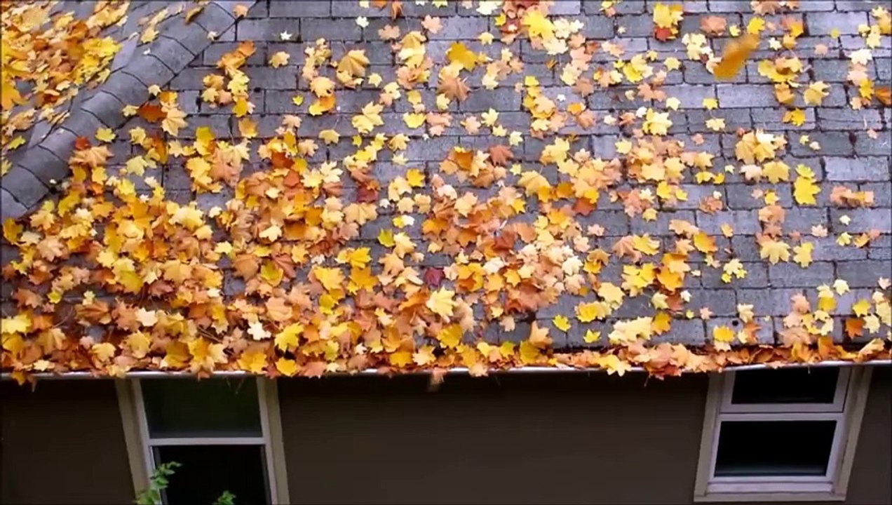 Gutter cleaning www.reflectivenw.com