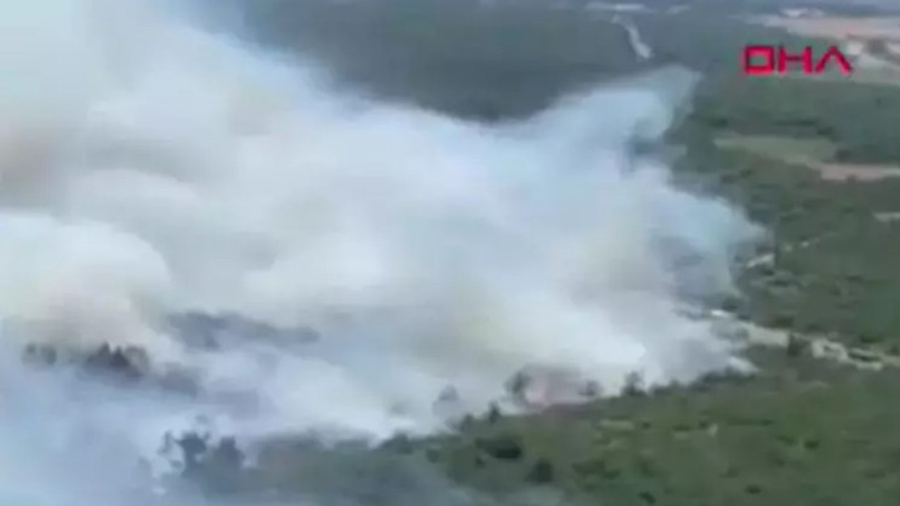 Balıkesir’in Altıeylül ilçesinde orman yangını