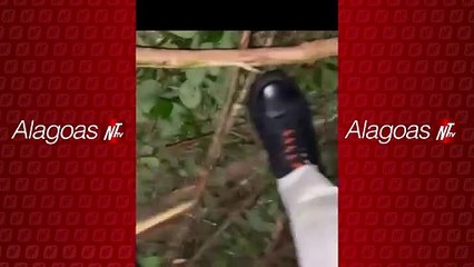 Acidente com caminhão baú interdita BR 101 em Flexeiras