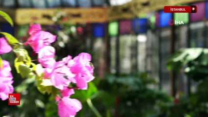 100 yılın ardından Yıldız Sarayı ziyaretçileriyle buluşacak