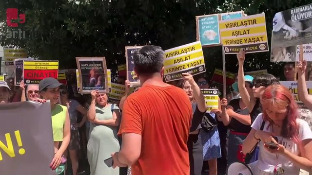 Hayvan hakları savunucuları komisyona seslendi: Katliama ortak olma 