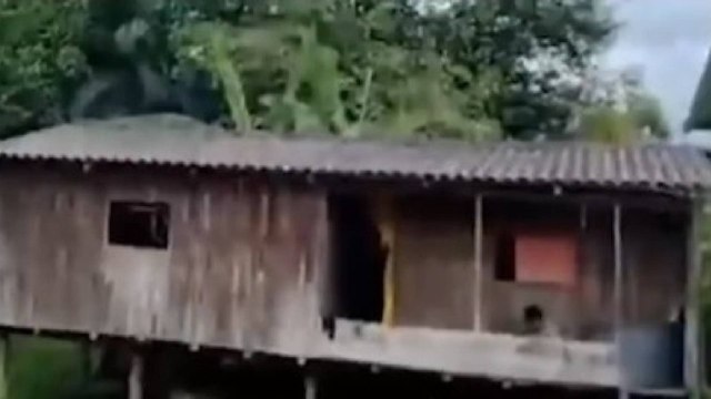 El Ejército desmanteló tres viviendas que utilizaban las disidencias de las Farc como depósitos de armas en Valle del Cauca