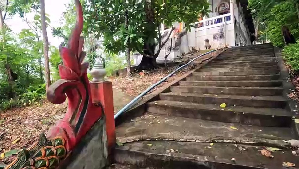 Höhen und Tiefen beim Auswandern