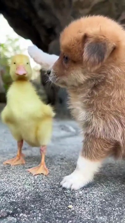 We are good pals.