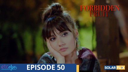 Forbidden Fruit Episode 50 ¦ FULL EPISODE ¦ TAGALOG DUB ¦ Turkish Drama