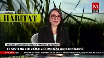 Solo el 26% del territorio de México no tiene sequía | Milenio Hábitat