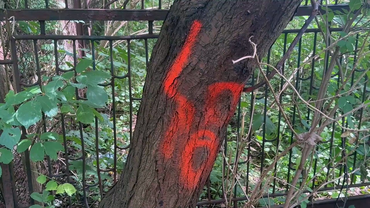 Co dalej z halą sportową w Dolsku?