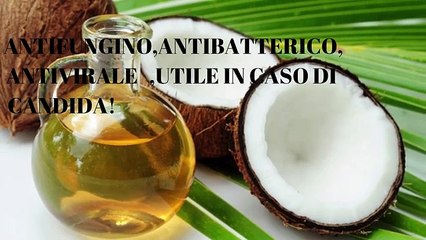 Olio di cocco: cos'è, perché fa bene e tutti gli usi in cucina