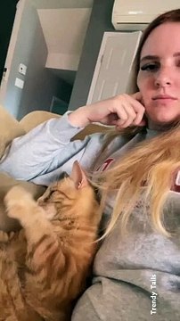 Adorable Cat and Cat Owner