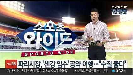 파리시장, 미뤘던 '센강 입수' 공약 이행…"수질 좋다"