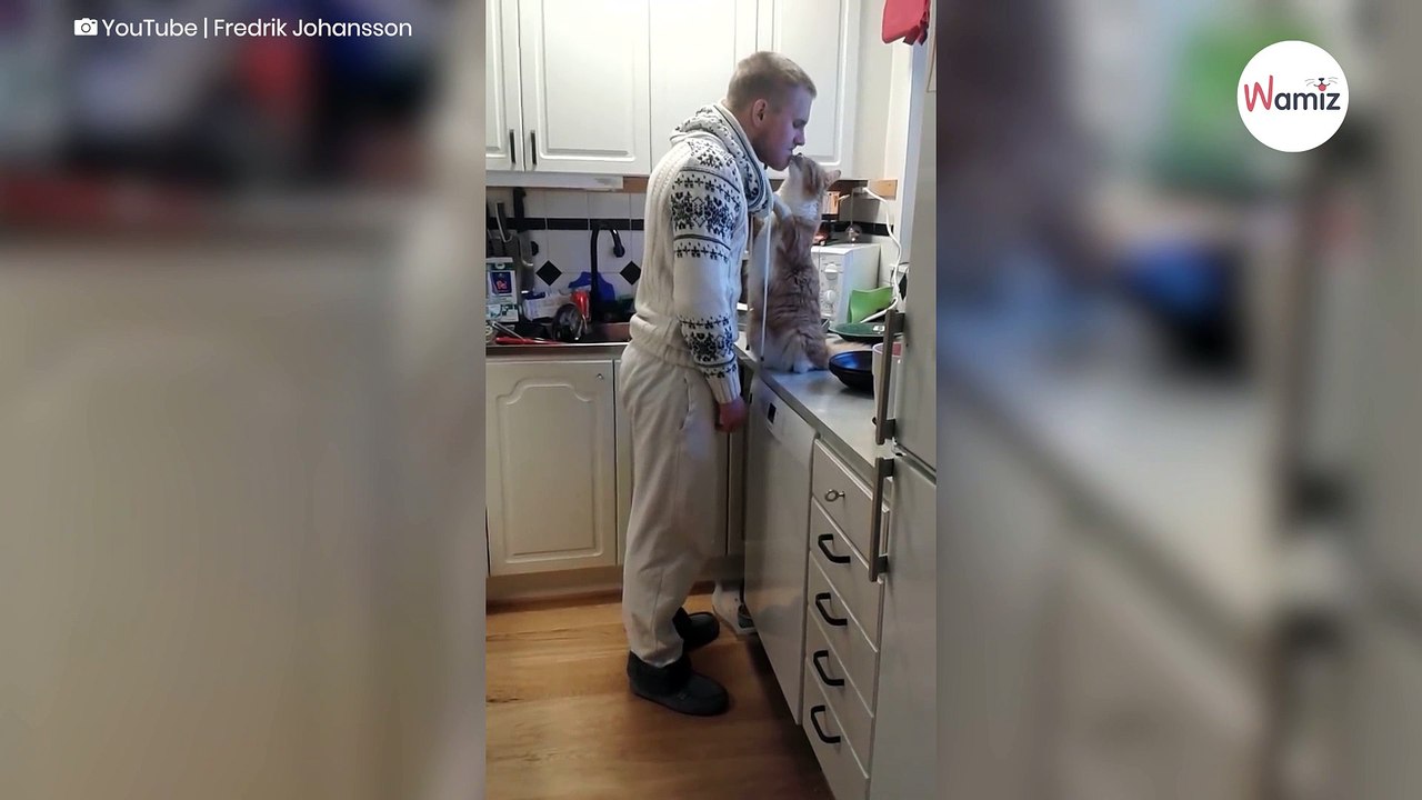 Tägliches Ritual zwischen Kater und Halter lässt über 3 Millionen dahinschmelzen