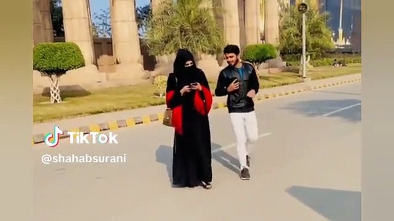 funny videos