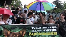 Hayvan hakları savunucularına Meclis önünde polis müdahalesi: Kendimizi Meclis'in önünde yakmaya hazırız