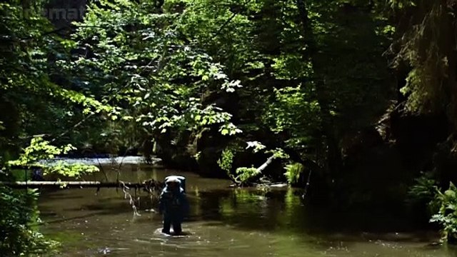 INTERSTELLAR 2 | Official Trailer | Matthew McConaughey, Anne Hathaway