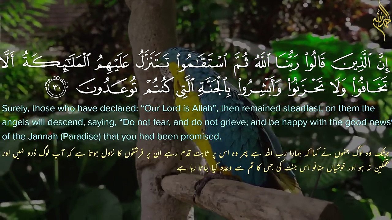 The Most Beautiful || qari saeed ul islam asad bangladeshi #quran #islam #قران_كريم