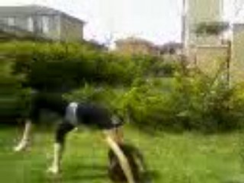 Vidéo-0020