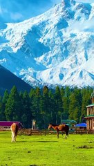 Fairy Meadows✨❤️