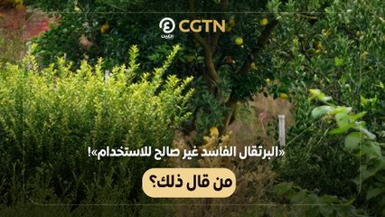 البرتقال الفاسد غير صالح للاستخدام! من قال ذلك؟