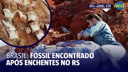 Fóssil de dinossauro é encontrado quase completo após enchentes no RS